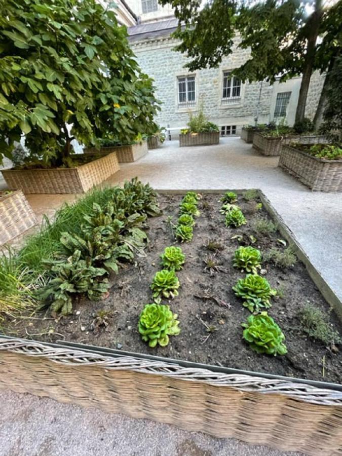 Apartamento Au Jardin De La Basilique Boulogne-sur-Mer Exterior foto